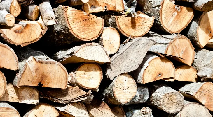 Stère de bois