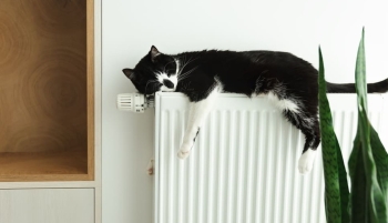 Chauffage radiateur